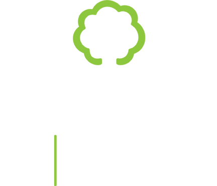 GS ENERGIA