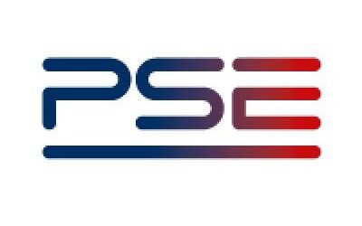 Polskie Sieci Elektroenergetyczne